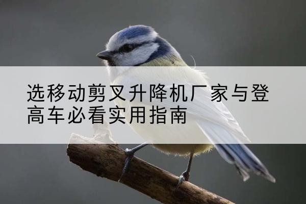 德宏电动升降机厂家-选移动剪叉升降机厂家与登高车必看实用指南