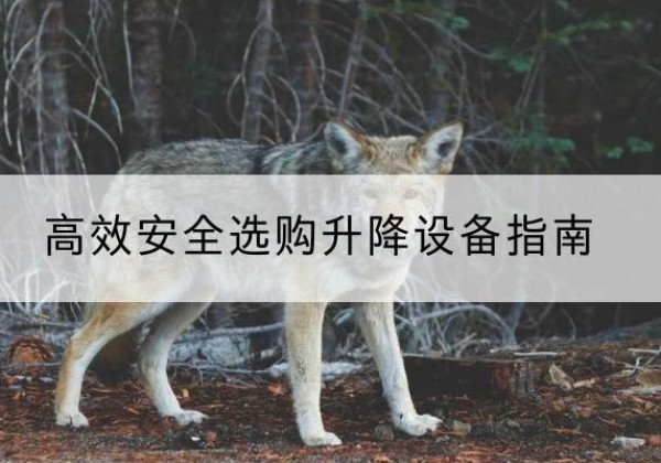 德宏升降货梯厂家推荐-*安全选购升降设备指南