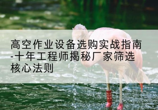德宏剪叉式升降机厂家-高空作业设备选购实战指南-十年工程师揭秘厂家筛选核心法则